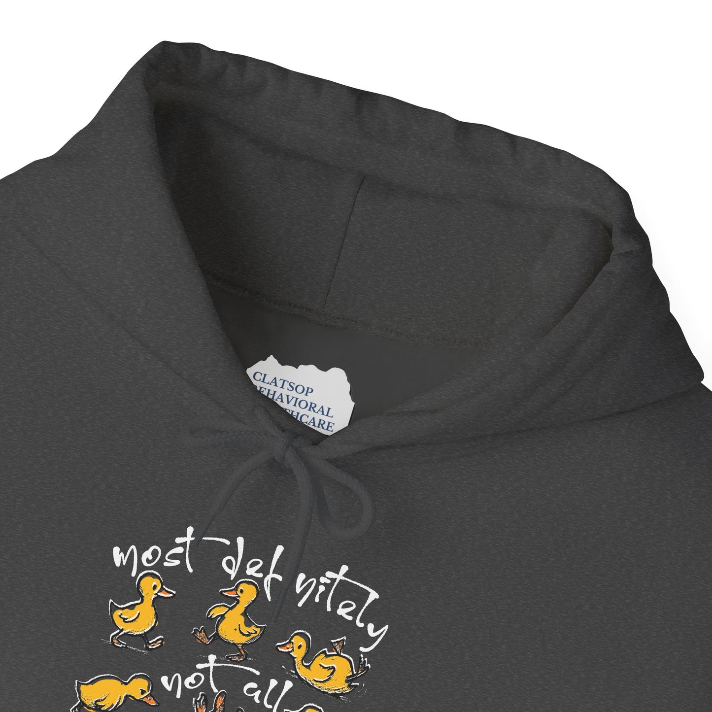 Ducks Amuck • Unisex Adult Hoodie