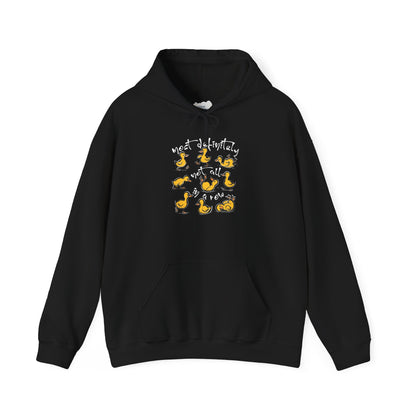 Ducks Amuck • Unisex Adult Hoodie