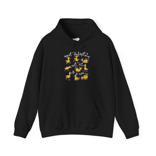 Ducks Amuck • Unisex Adult Hoodie