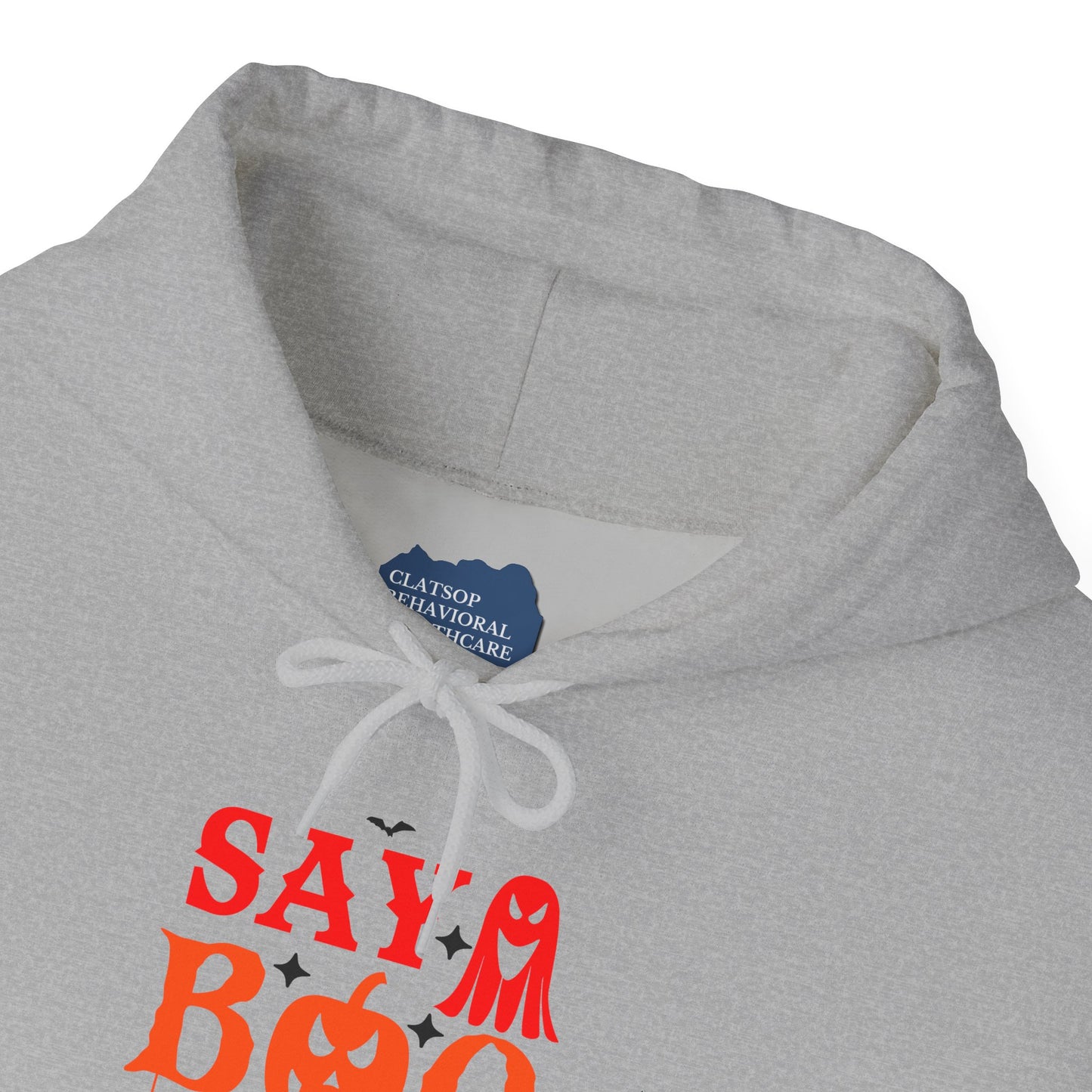Halloween "Say Boo to Drugs" Graphic | Unisex Adult Hoodie