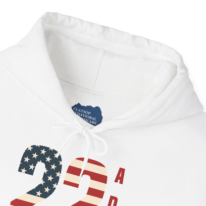 '22 a Day' End Veteran Suicide | Unisex Adult Hoodie